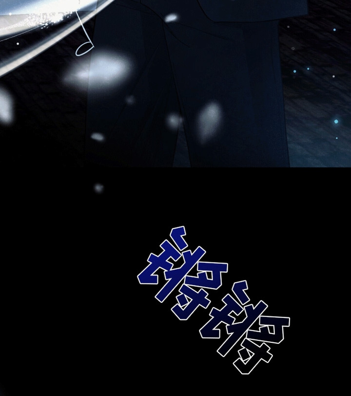 灿烂的黑暗 - 演奏者 - 第21页