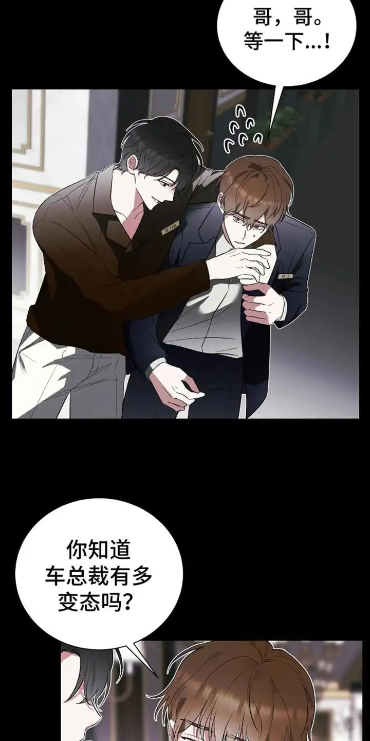 坏苹果替代品 - 心甘情愿 - 第7页