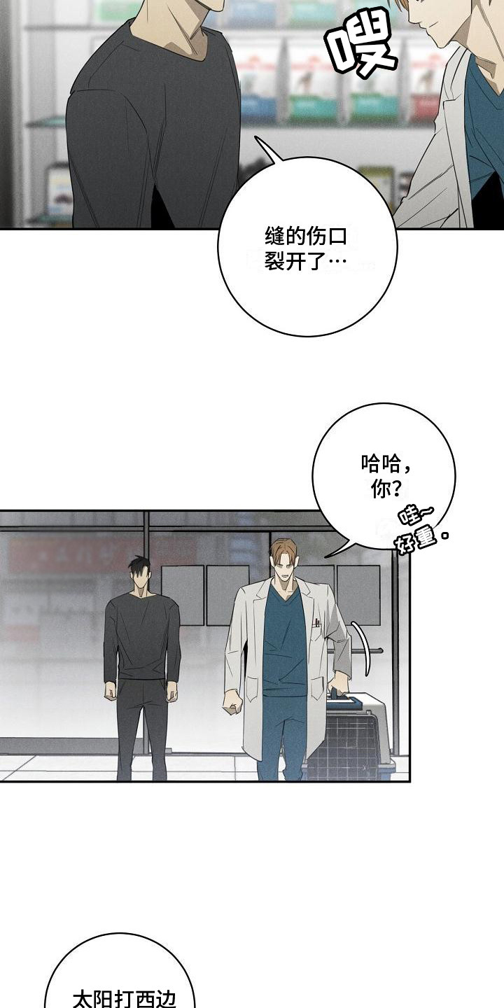 迷失方向 - 宠物医院 - 第16页