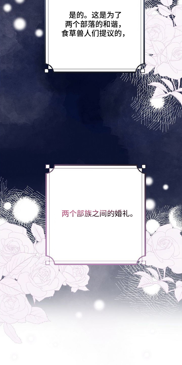 狼君与狐嫁 - 联姻 - 第12页