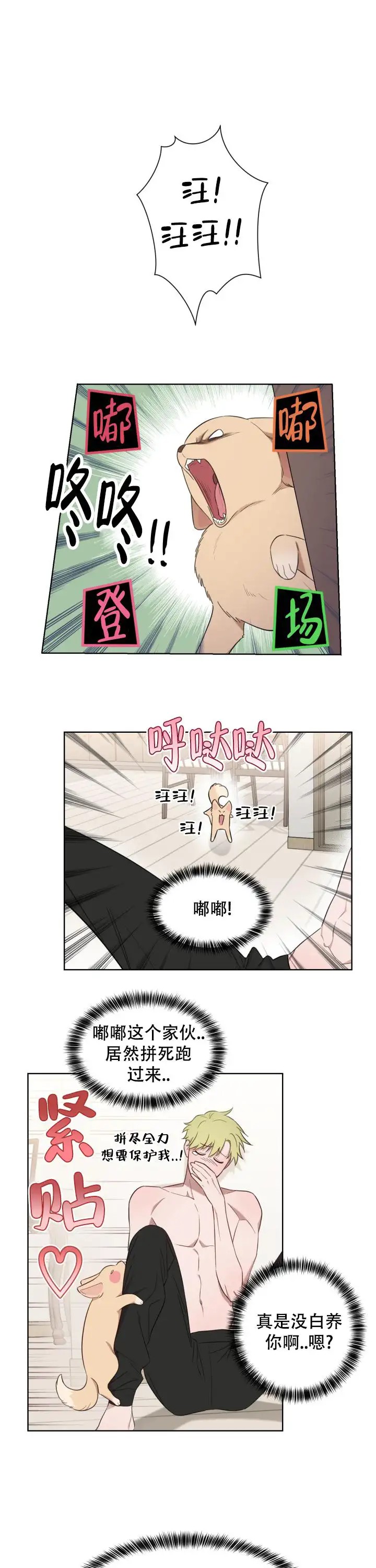 二手爱情 - 爱信不信 - 第14页