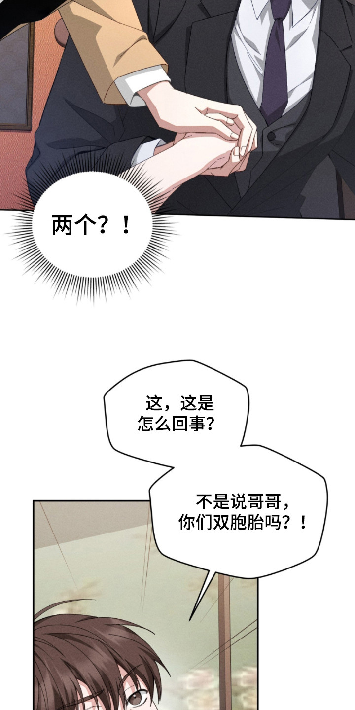 危情三人戏 - 双胞胎 - 第17页