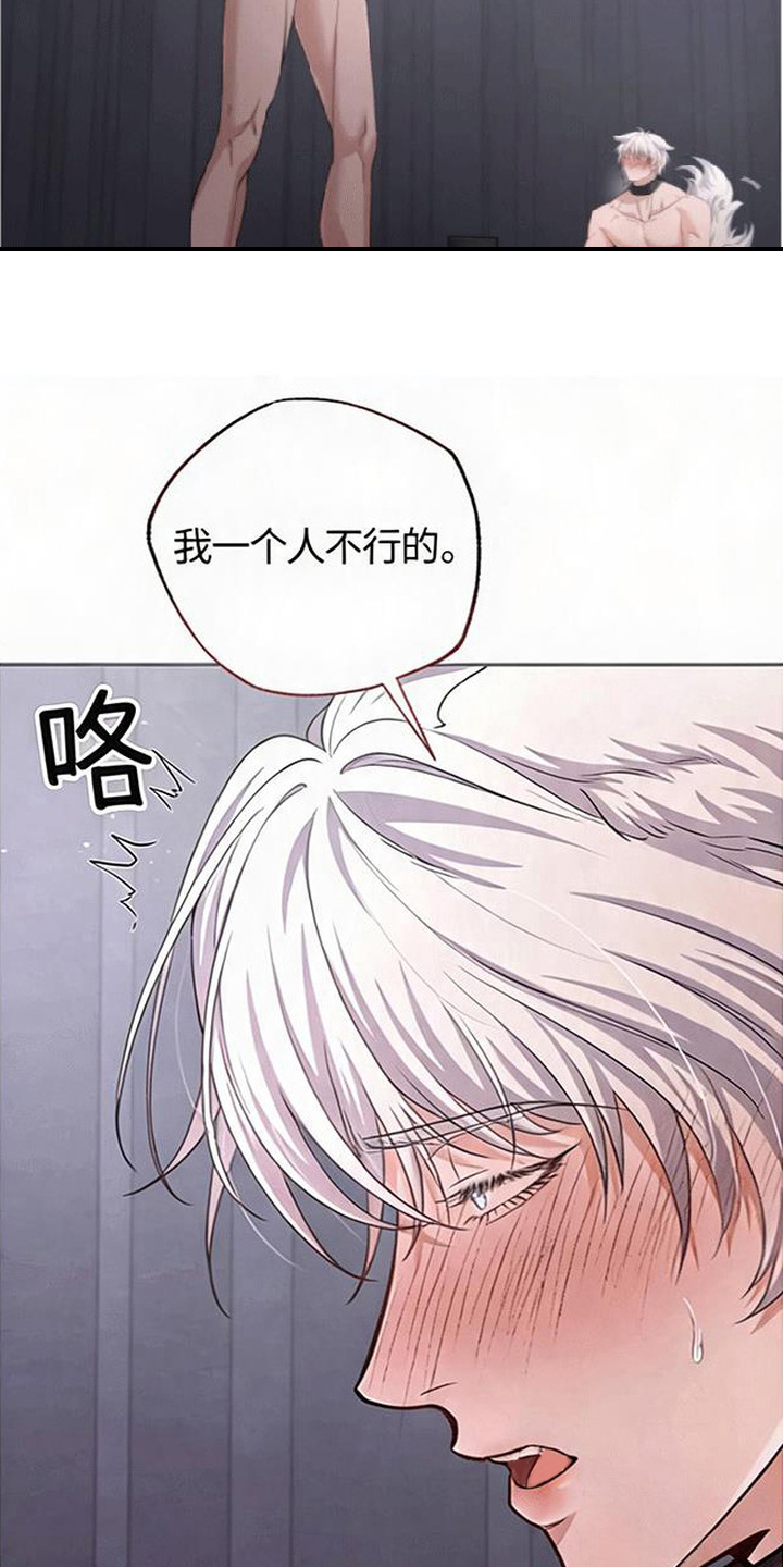 星光狼影 - 委屈 - 第24页