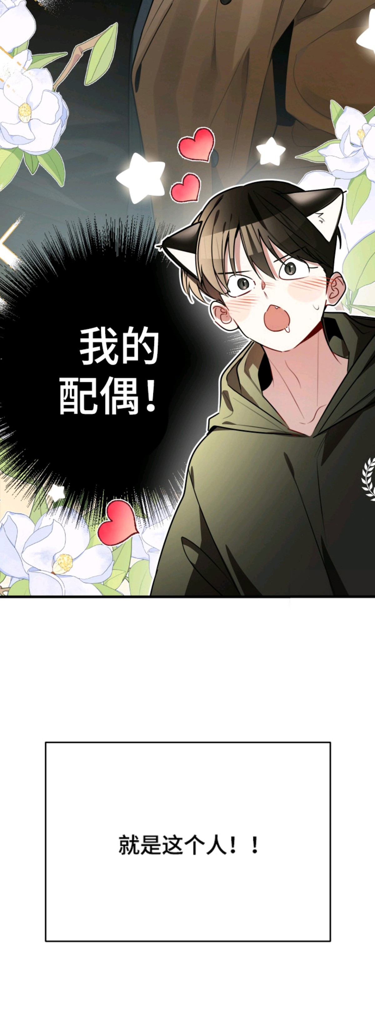 野猫的命定人类 - 一见钟情 - 第11页