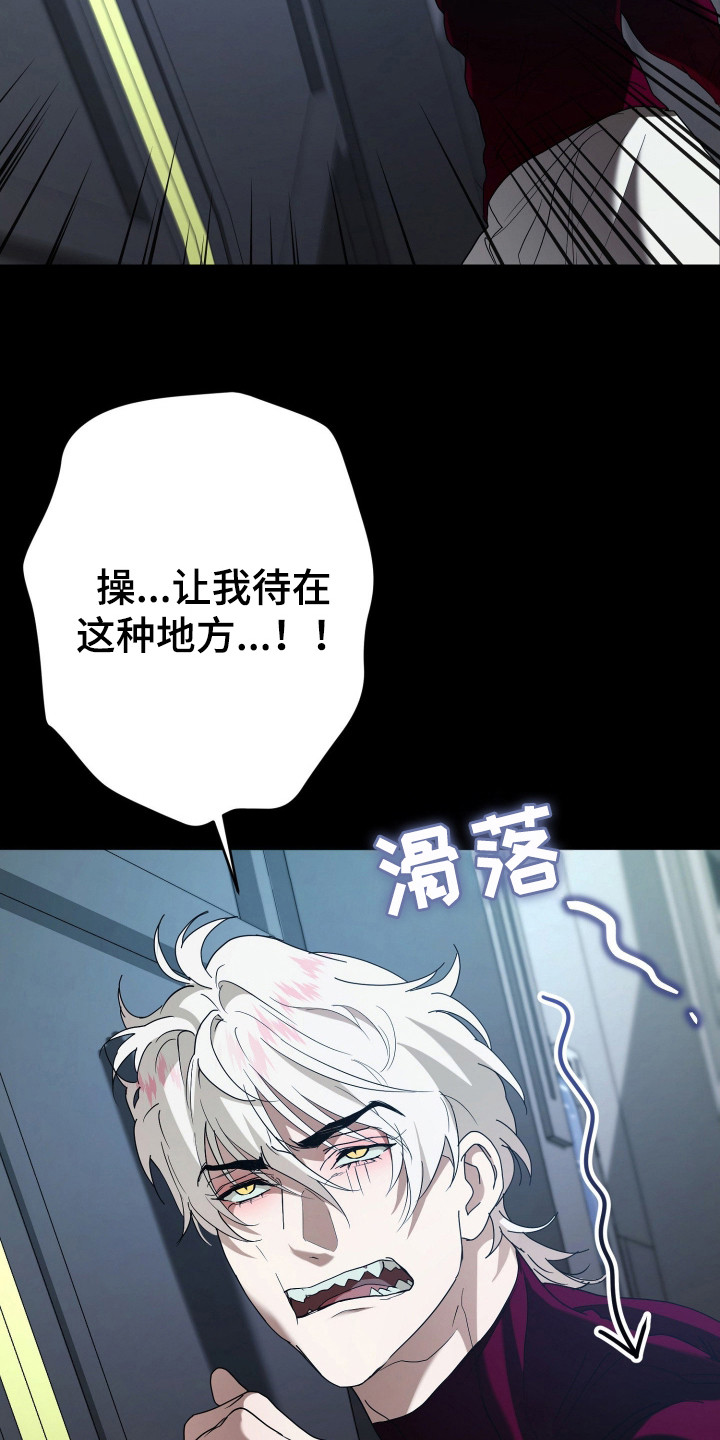 无间搭档 - 训练 - 第22页