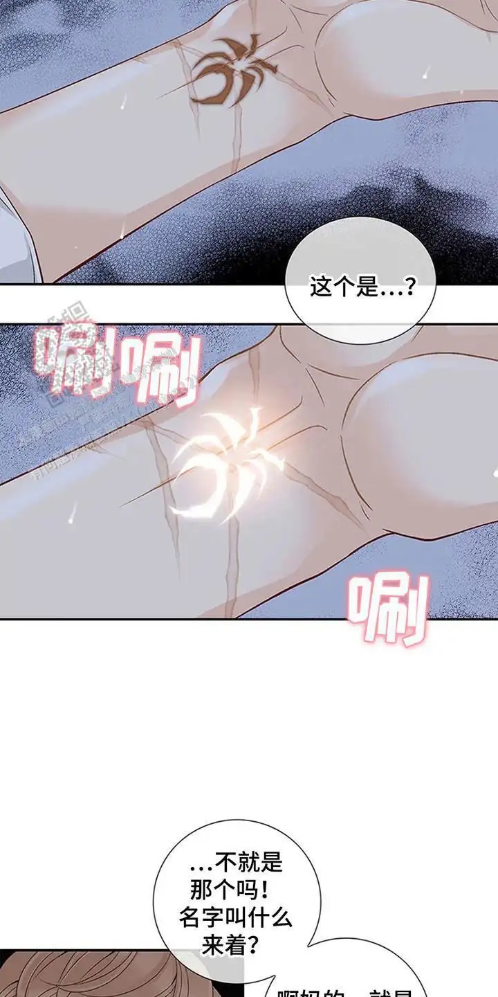 剧毒纽带 - 信号病 - 第6页