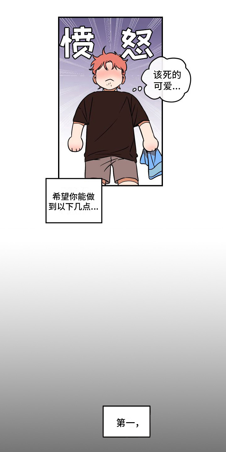 理想恋人 - 差距极大 - 第14页
