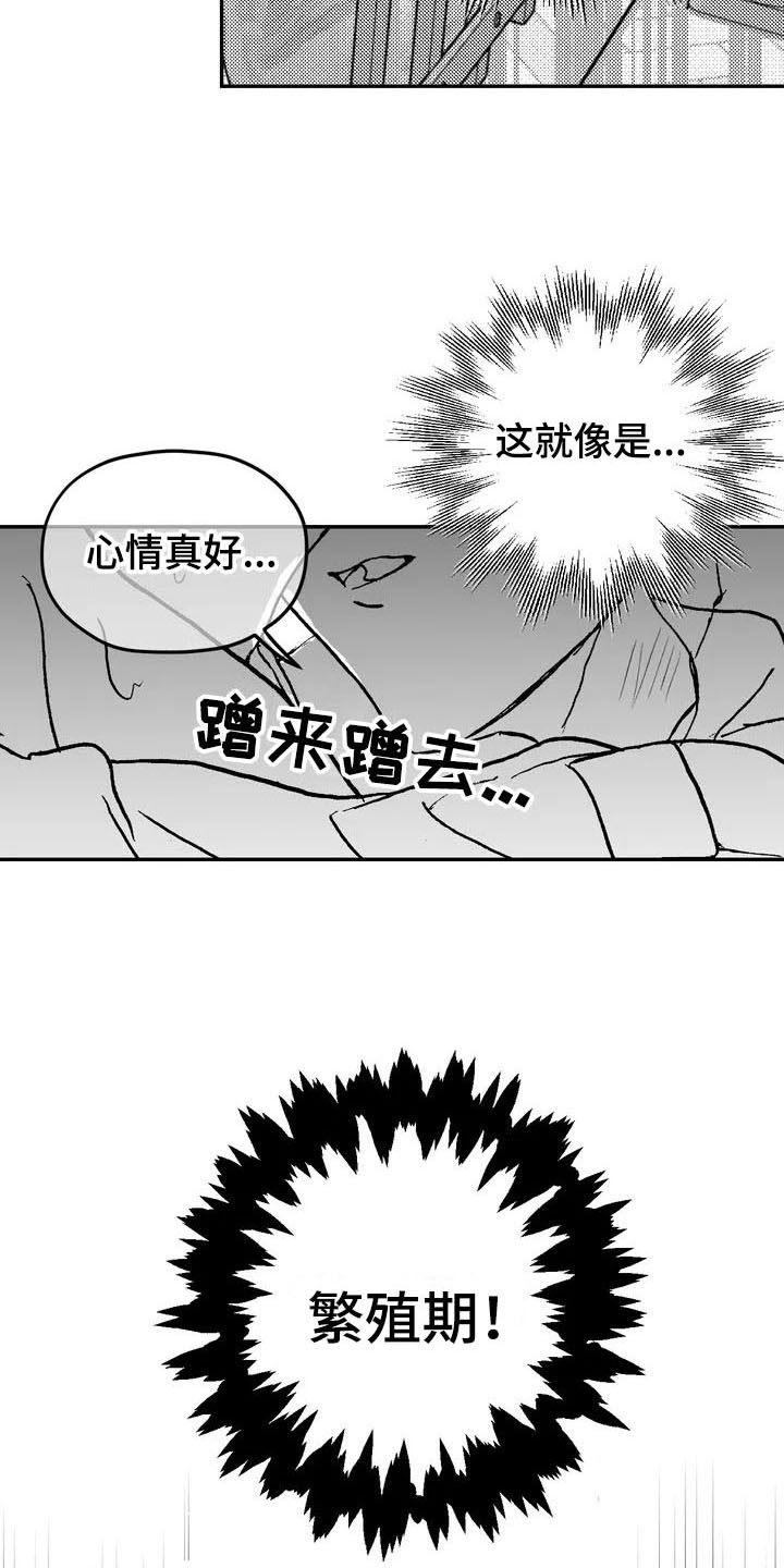 寻找你的波涛 - 特殊 - 第11页