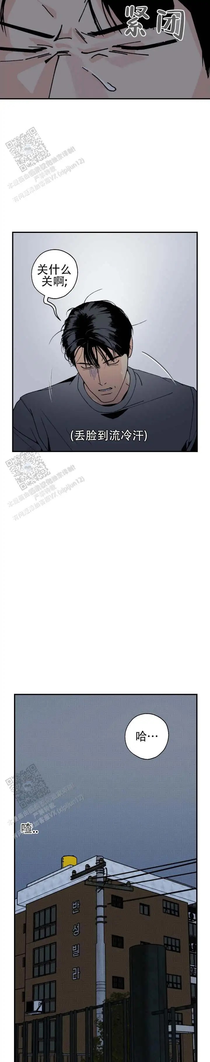 与拳为伍 - 绝了 - 第5页