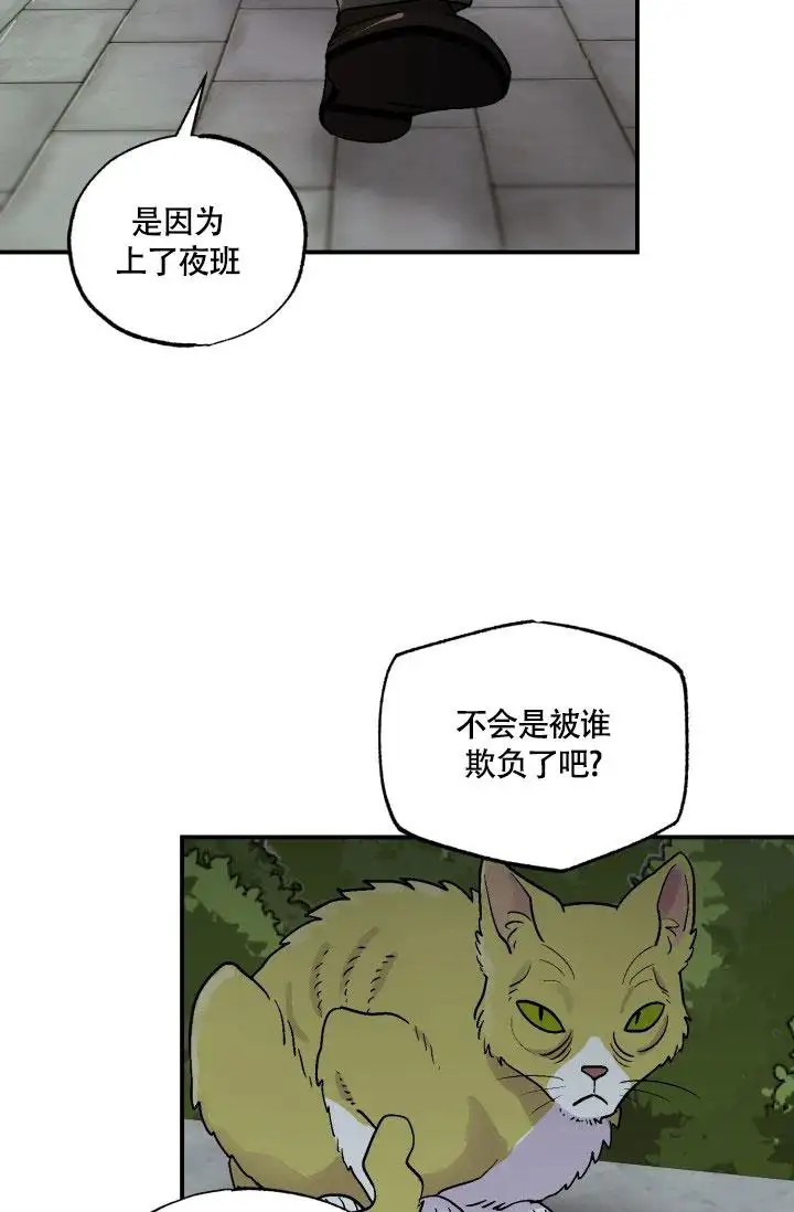 双胞胎和我 - 回来吧 - 第18页