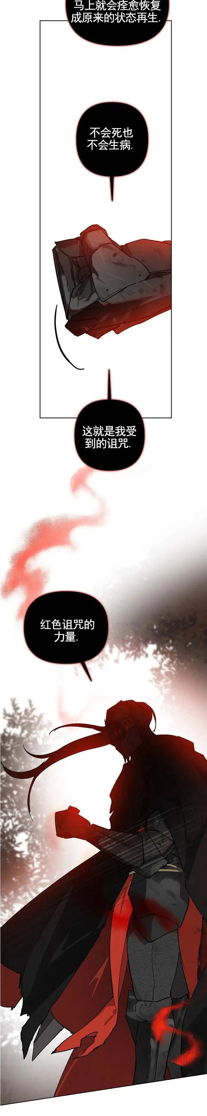 红色诅咒的骑士 - 红色诅咒 - 第13页