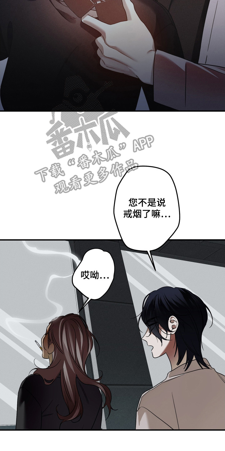 倒悬玫瑰 - 关键线索 - 第9页