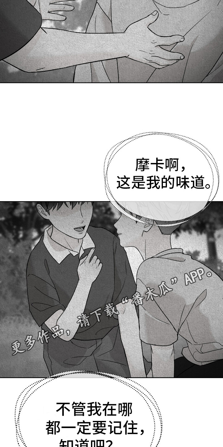 爱犬宝贝 - 想起来了 - 第12页