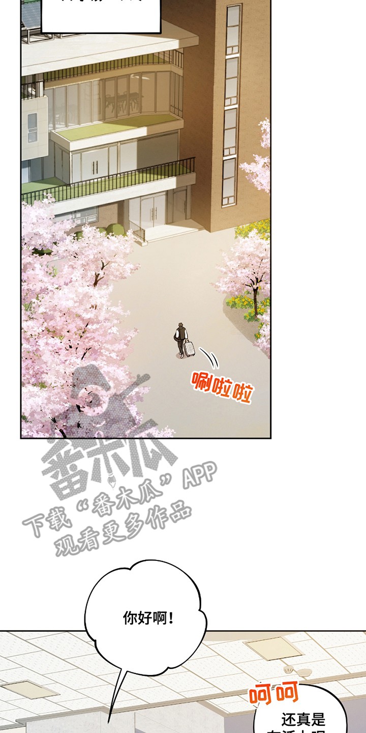 苹果味初恋 - 不要放弃 - 第19页