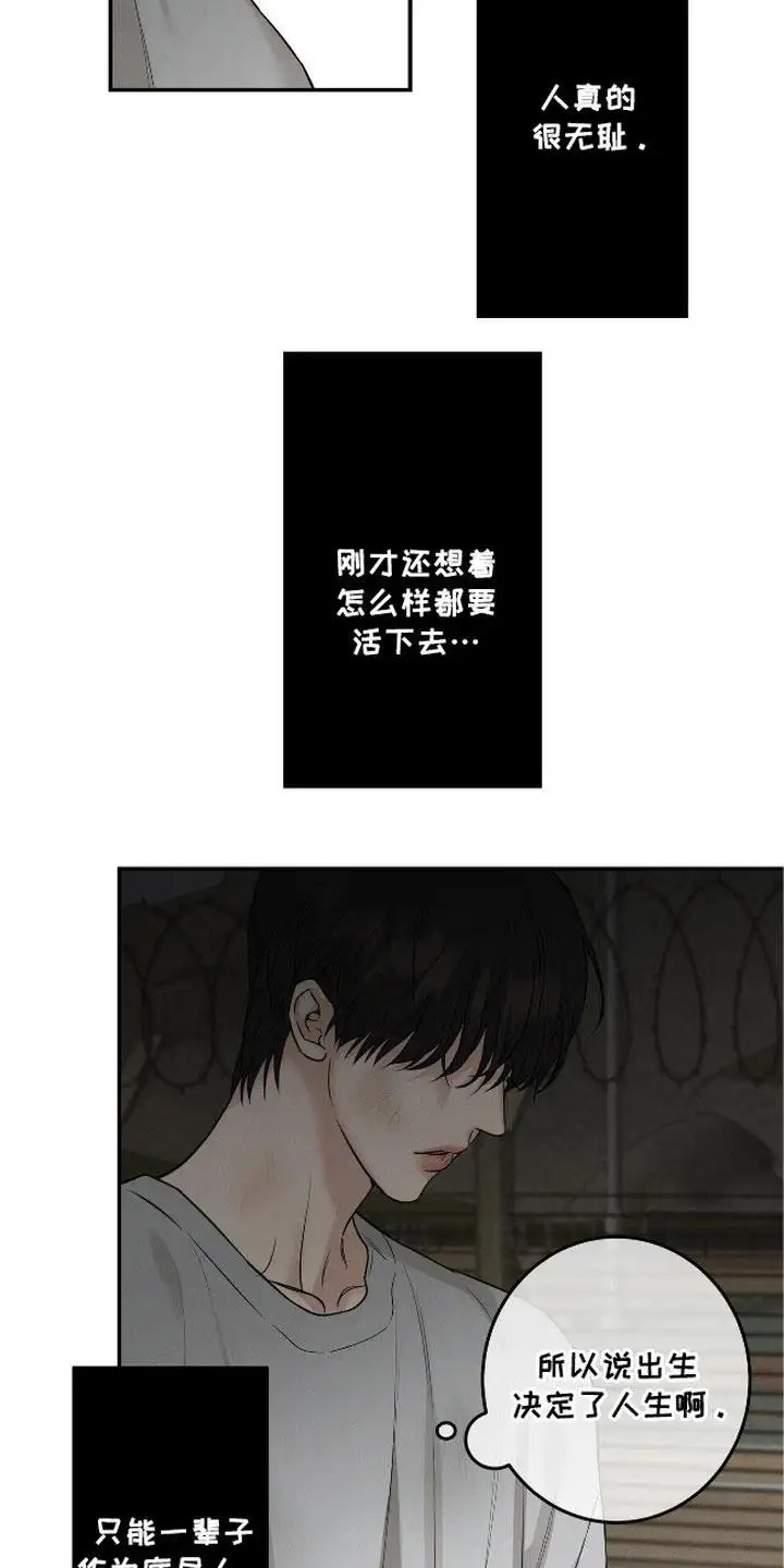 三月的樱花 - 合作 - 第7页