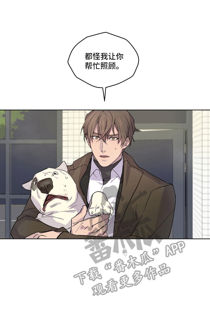 呼吸的记忆 - 受伤 - 第26页