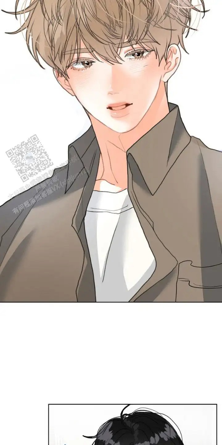 单恋小奶狗 - 当没发生过 - 第13页