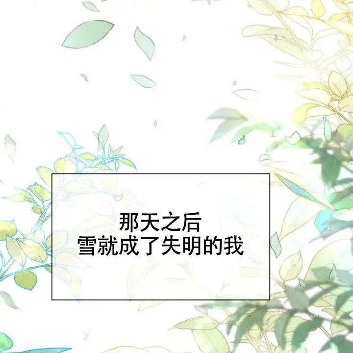 雪融化的那天 - 唯一的光 - 第48页