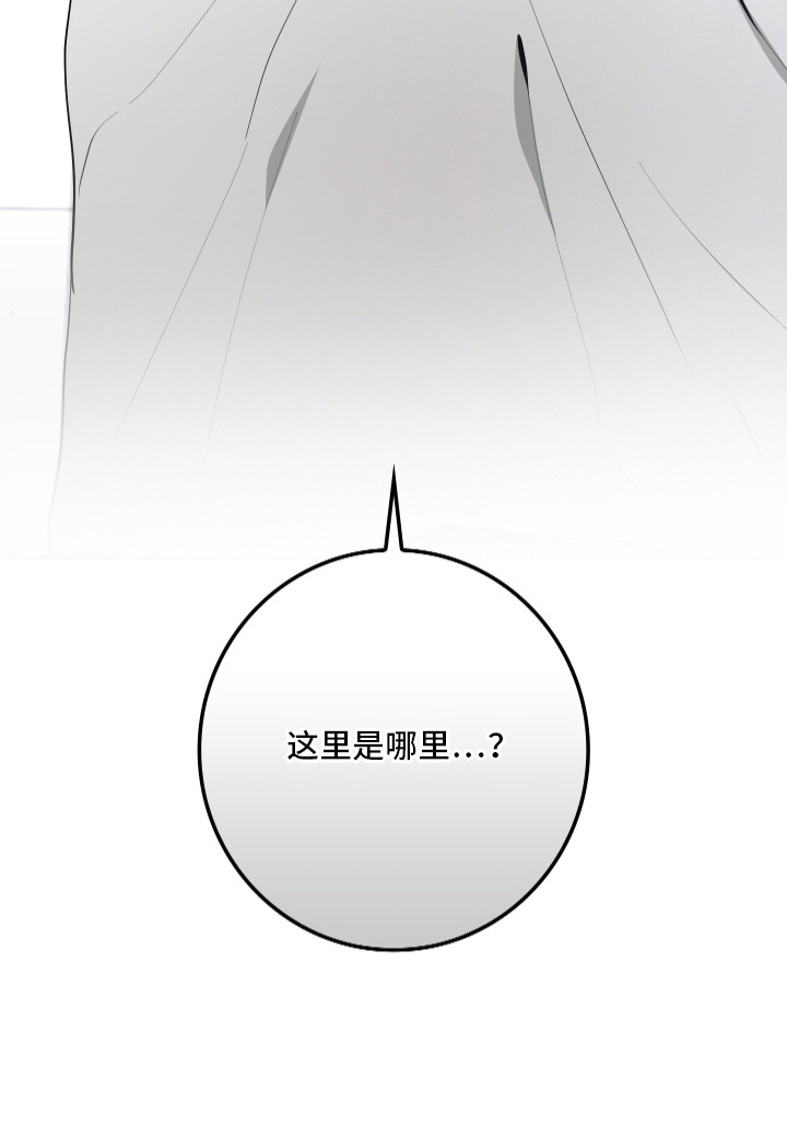 断片 - 惊醒 - 第29页