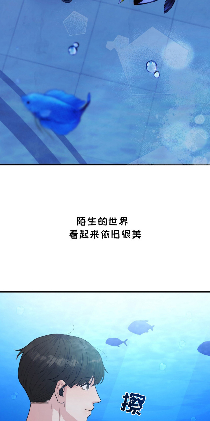 VVIP禁区 - 一瞬间的想法 - 第27页