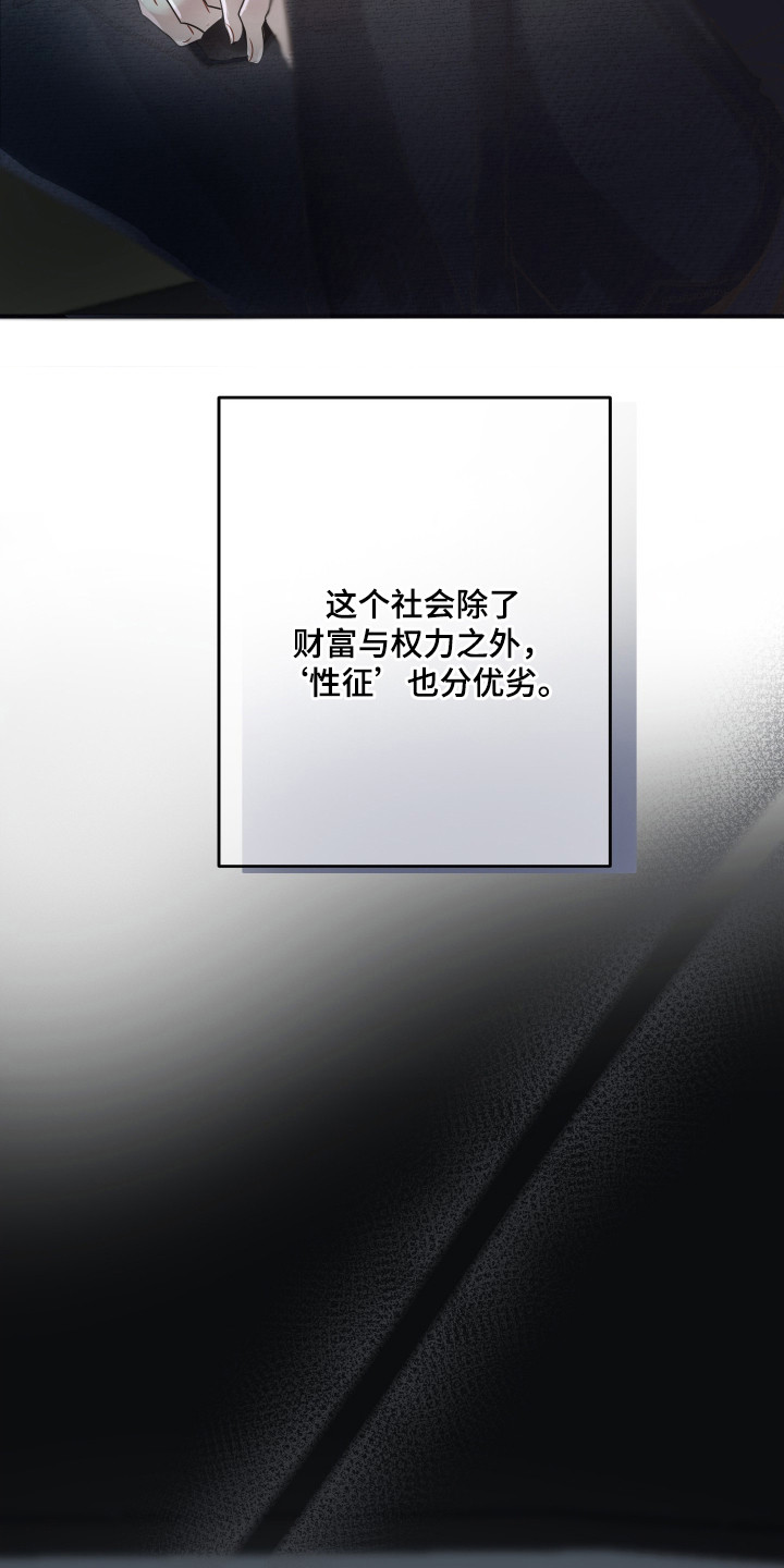 欧米伽的伪装 - 被卖了 - 第14页