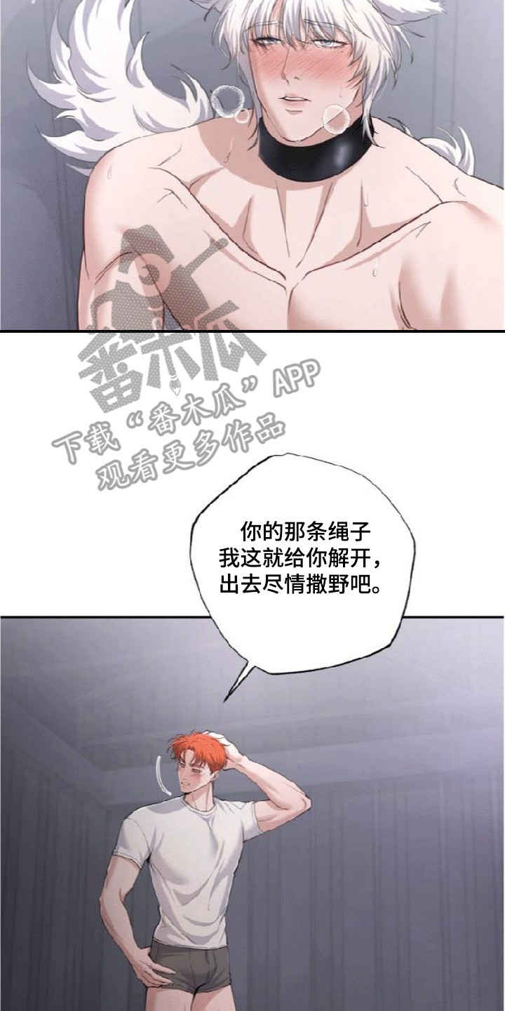 星光狼影 - 委屈 - 第23页