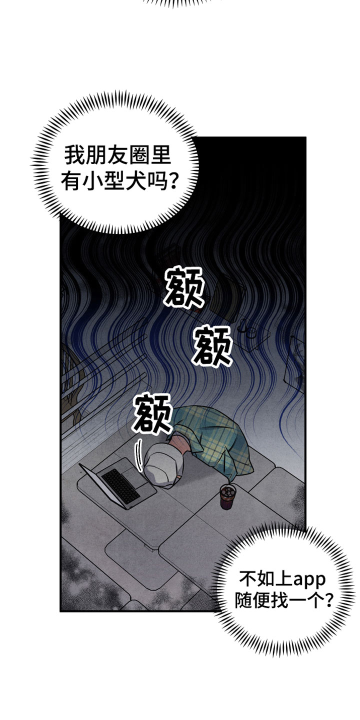 狗狗的恋爱 - 合适的对象 - 第7页