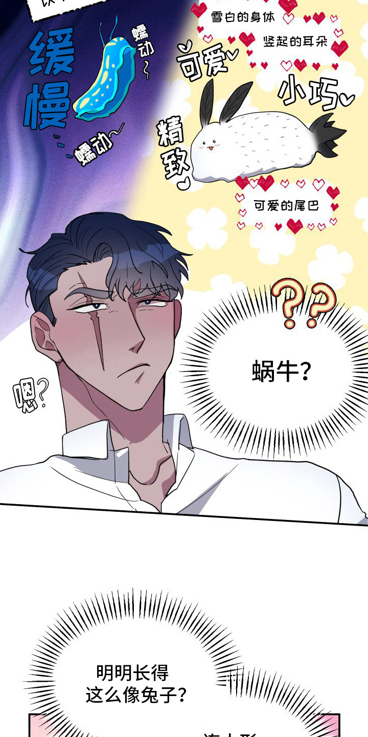 鲨鱼的新娘 - 品种 - 第18页