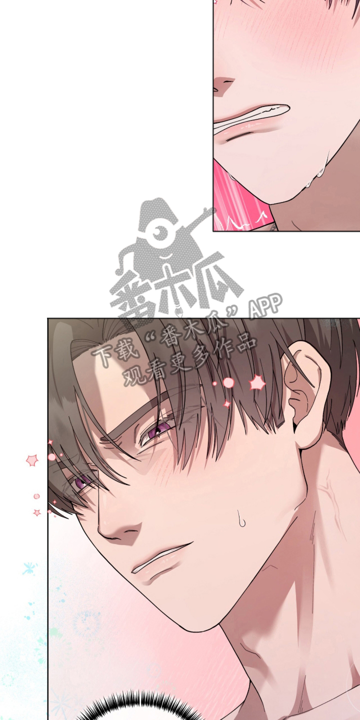 欧米伽的复出 - 就好像恋人 - 第15页