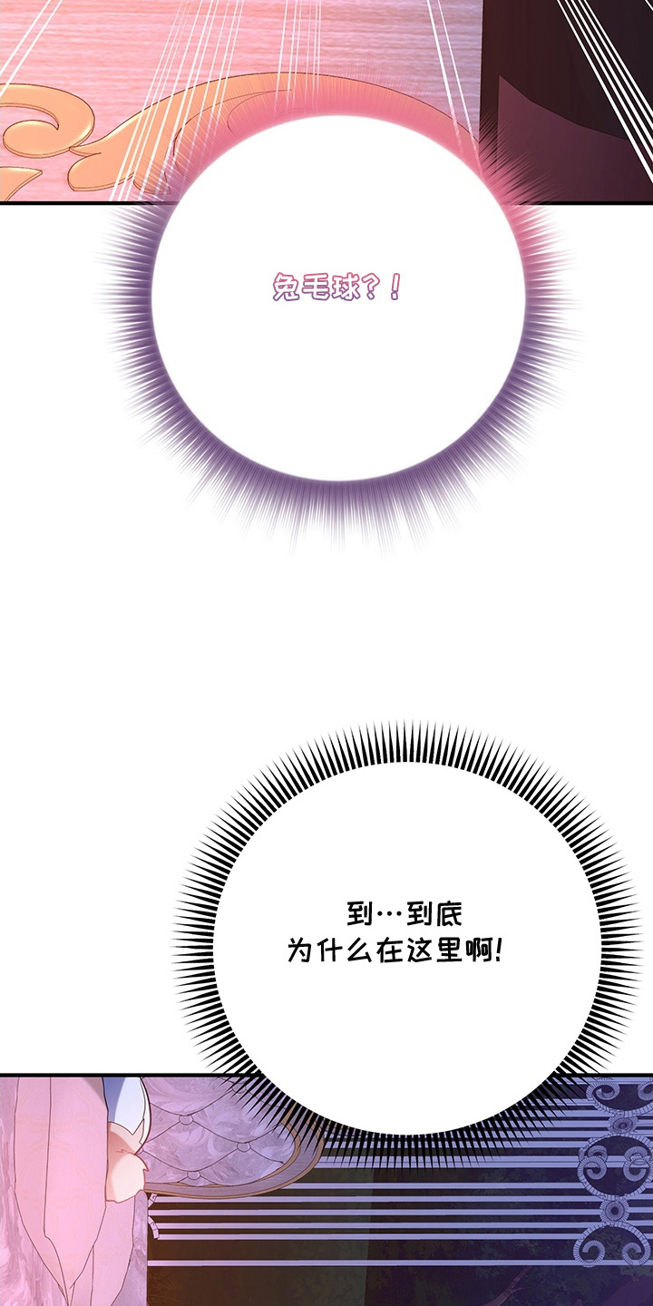黑豹配偶超棘手 - 兔毛球 - 第12页