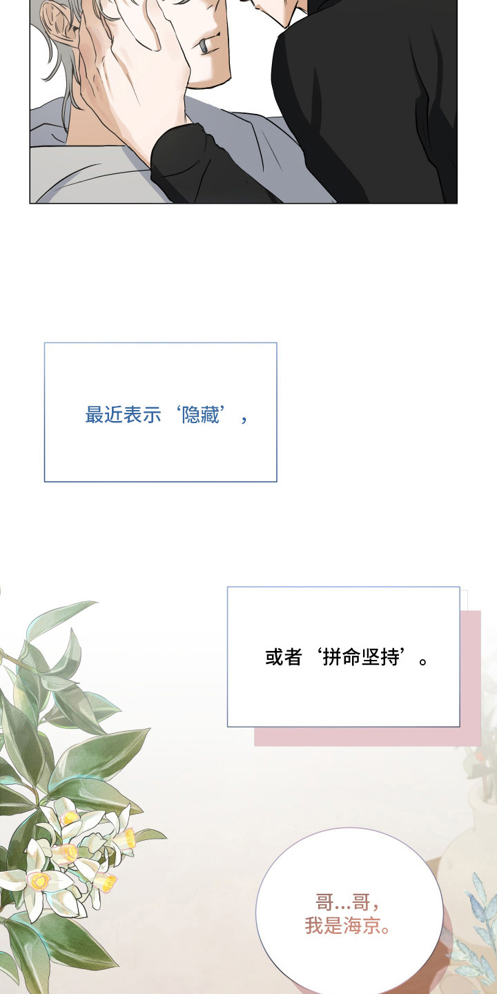 纯血人类与家养兔 - 进退维谷 - 第8页