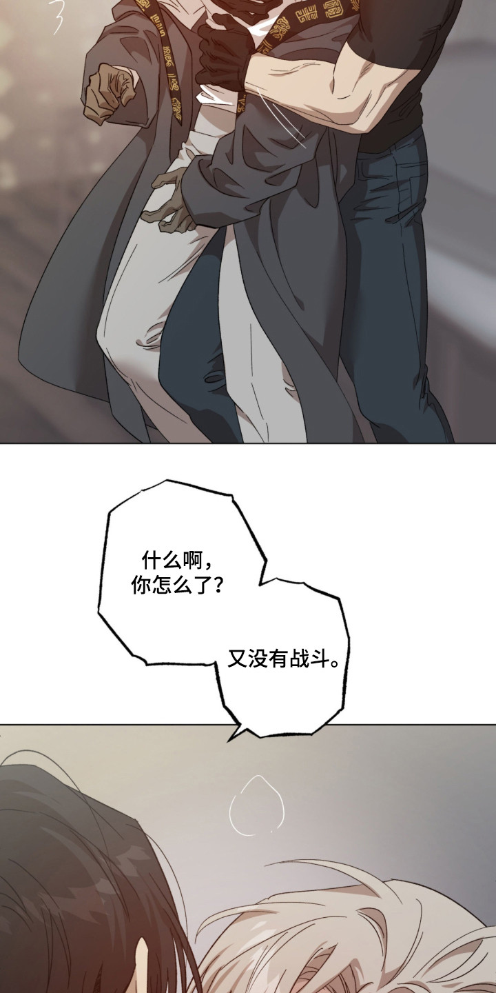 双生悲愿 - 憎恨 - 第12页