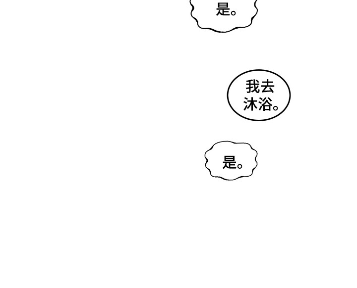 白虎之王 - 白虎 - 第19页