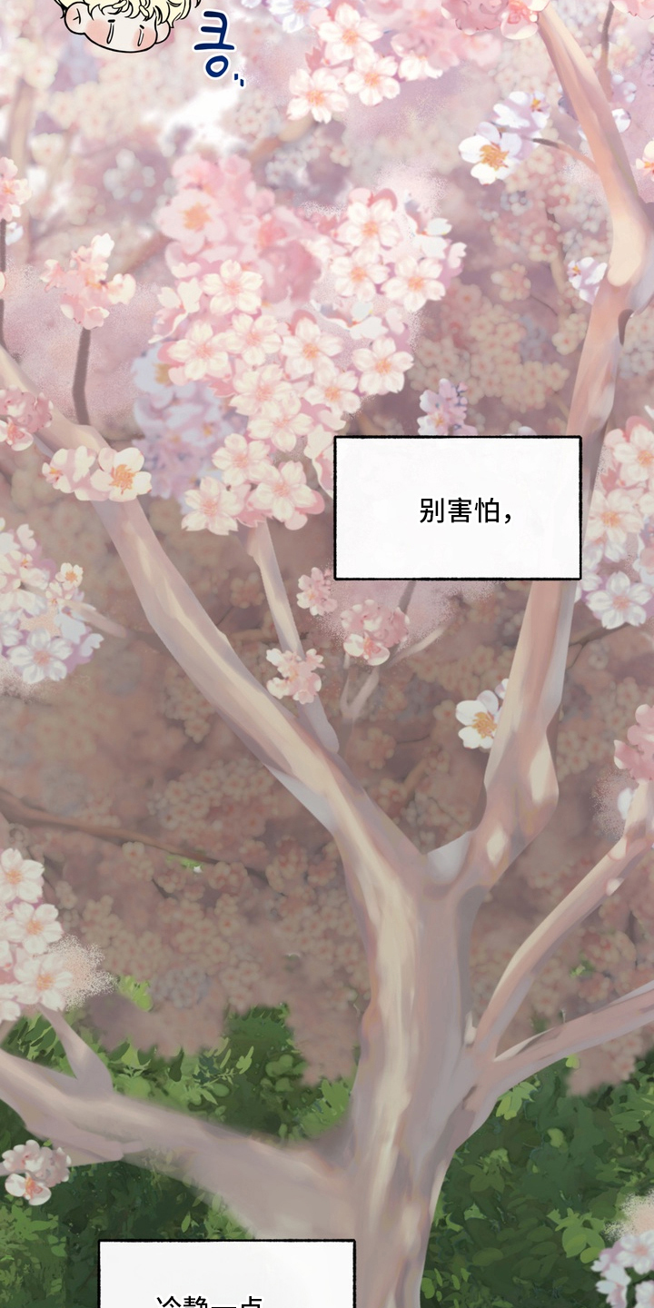 开发捕获 - 诈骗犯 - 第21页