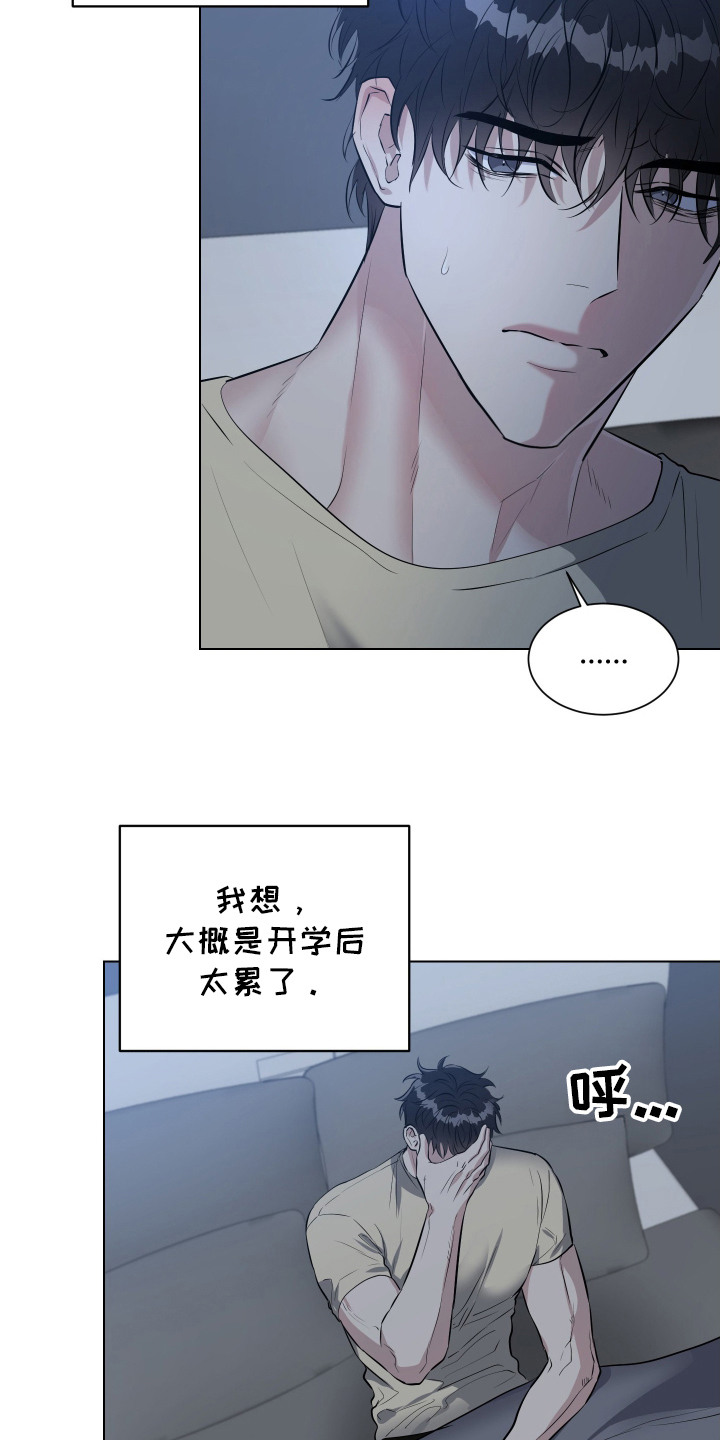 红蛇梦魇 - 怪事 - 第13页