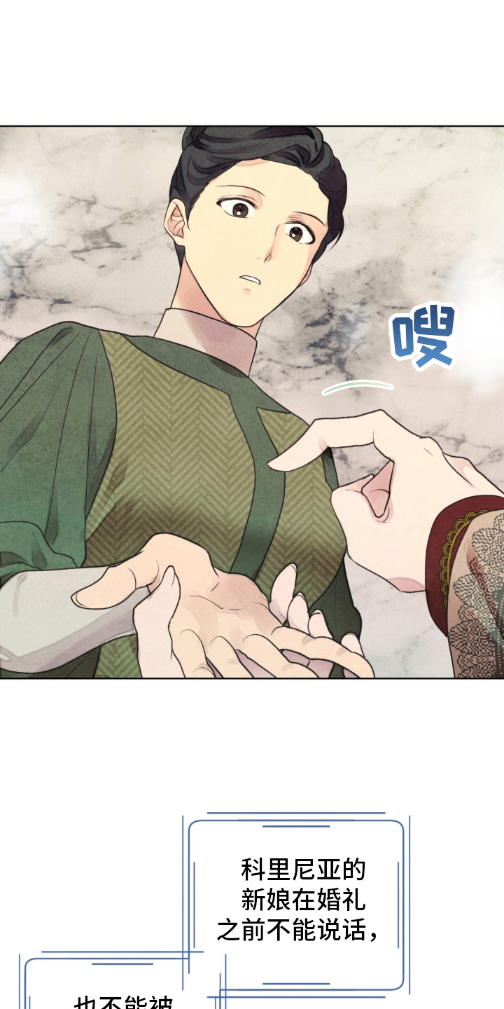 冰封的王嫁 - 公主到访 - 第19页