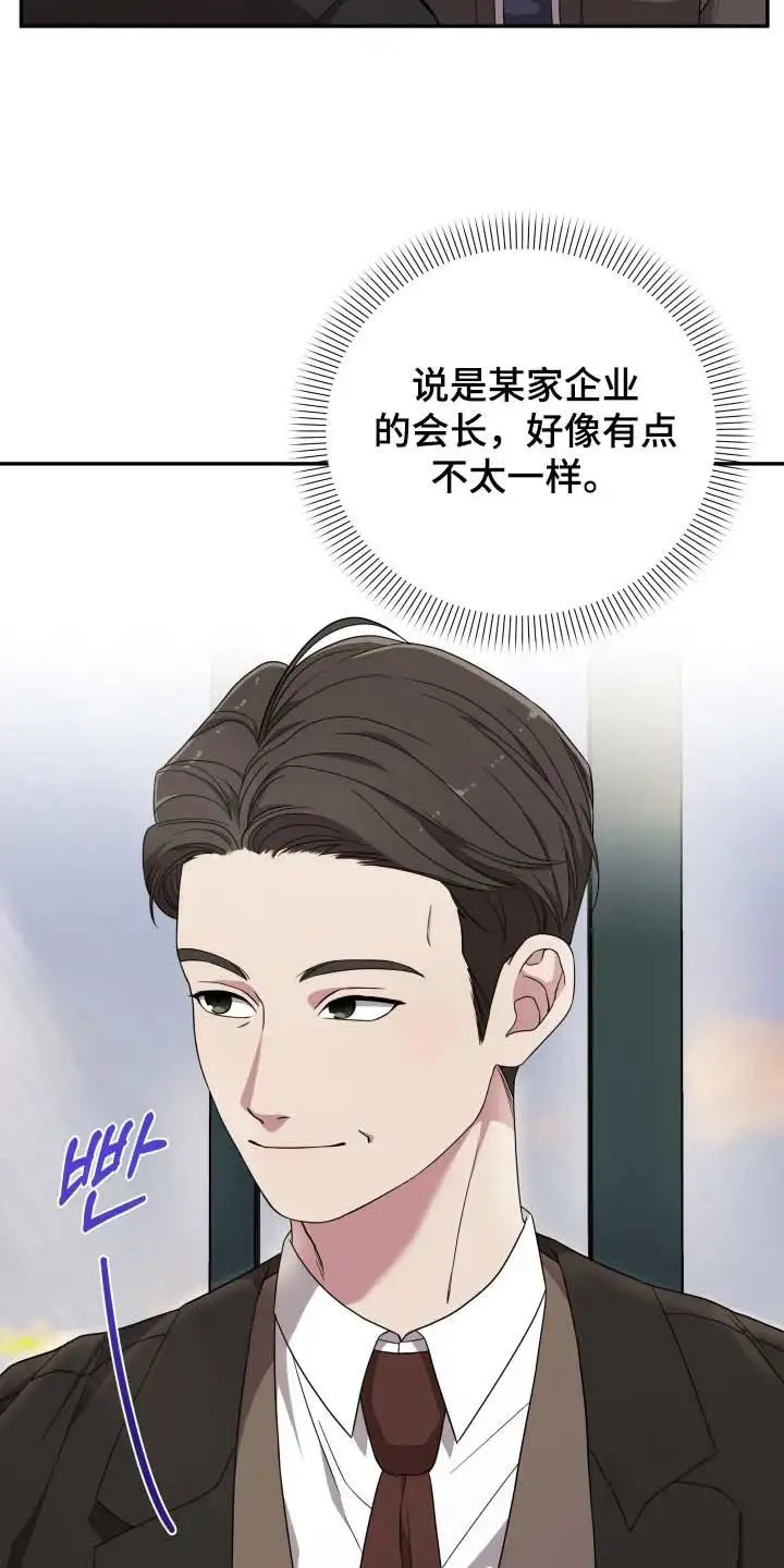 猛宠旧情 - 宠物管理 - 第24页