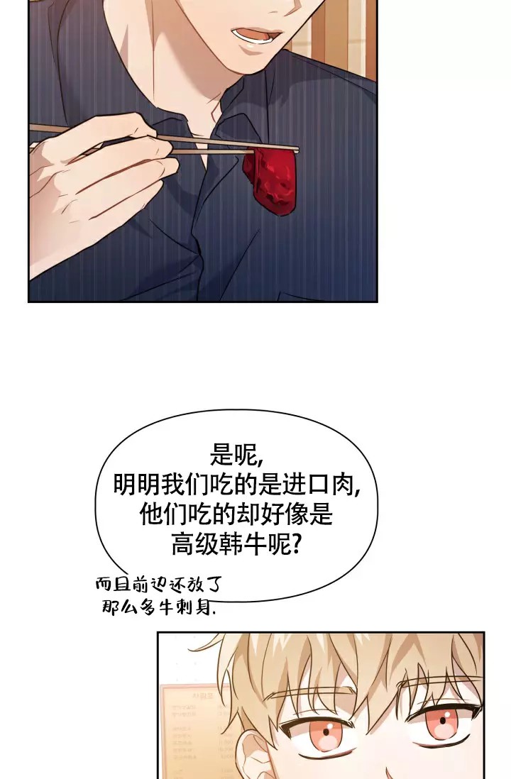诱饵 - 过敏药 - 第21页
