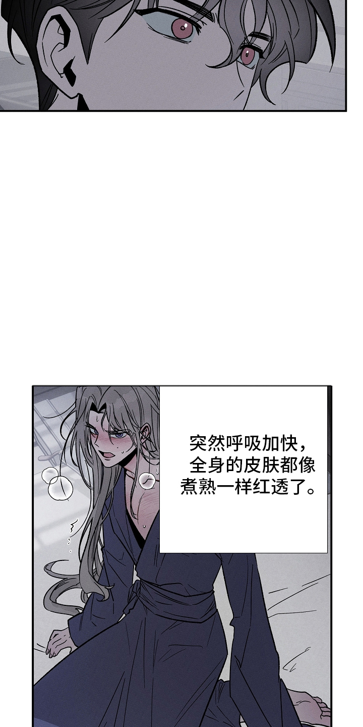 异世界奴隶 - 第二性别 - 第14页