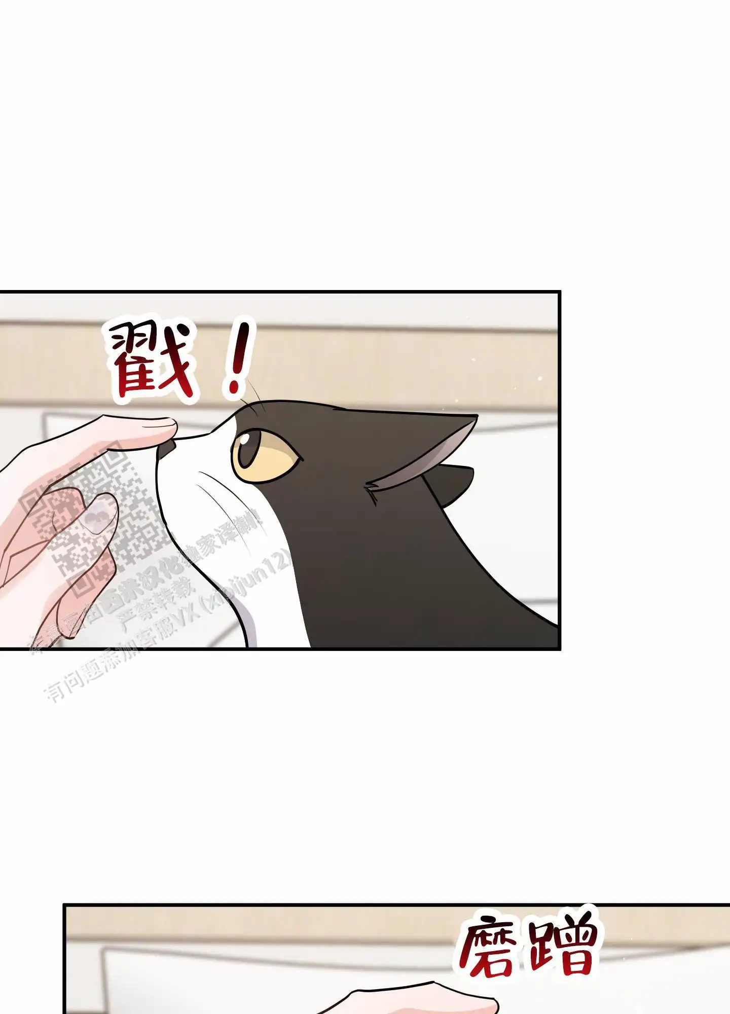 我的猫系男友 - 相识 - 第22页