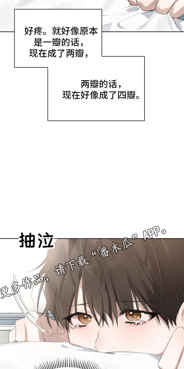 误吻危险弟弟 - 变了一个人似的 - 第7页