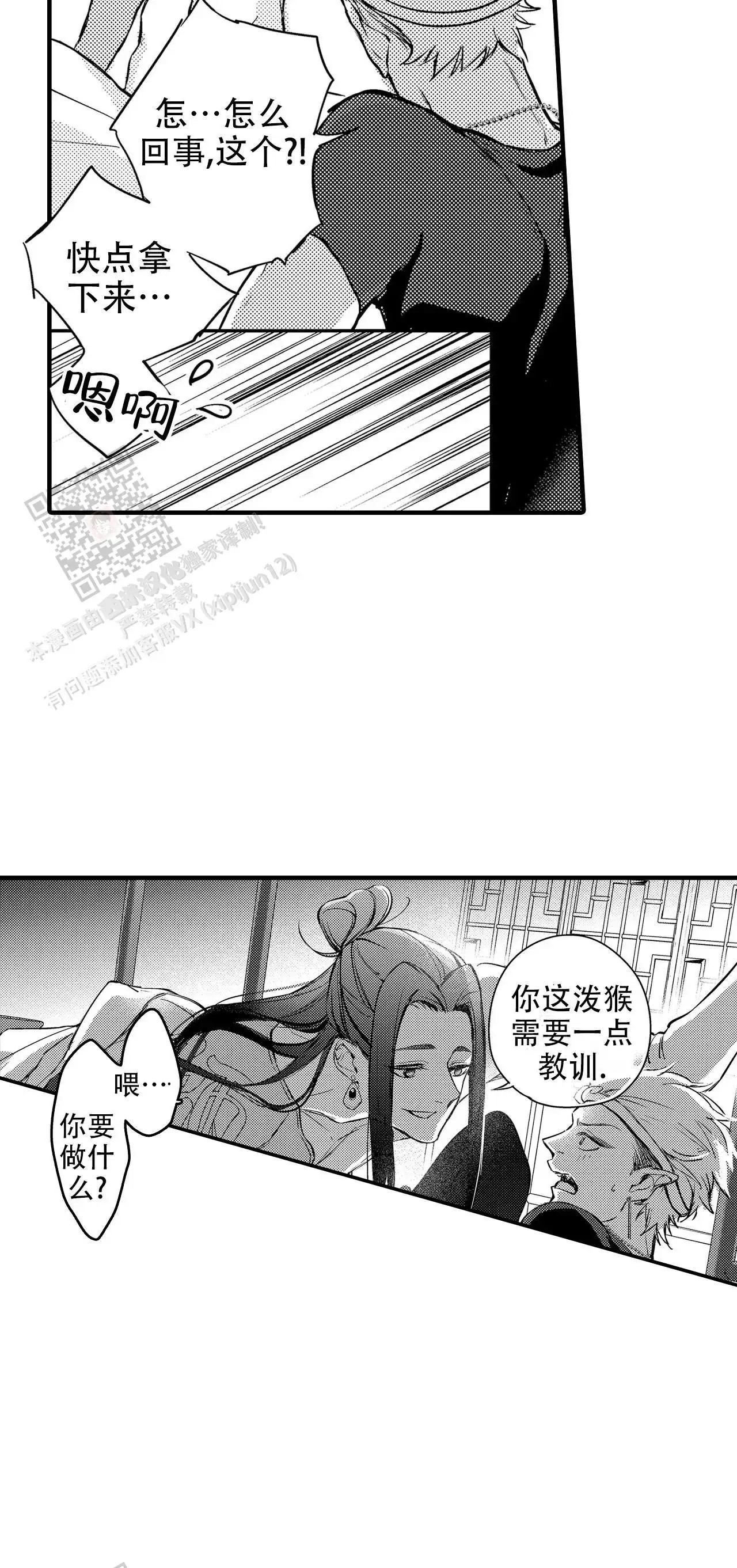 西行记 - 主导权 - 第12页
