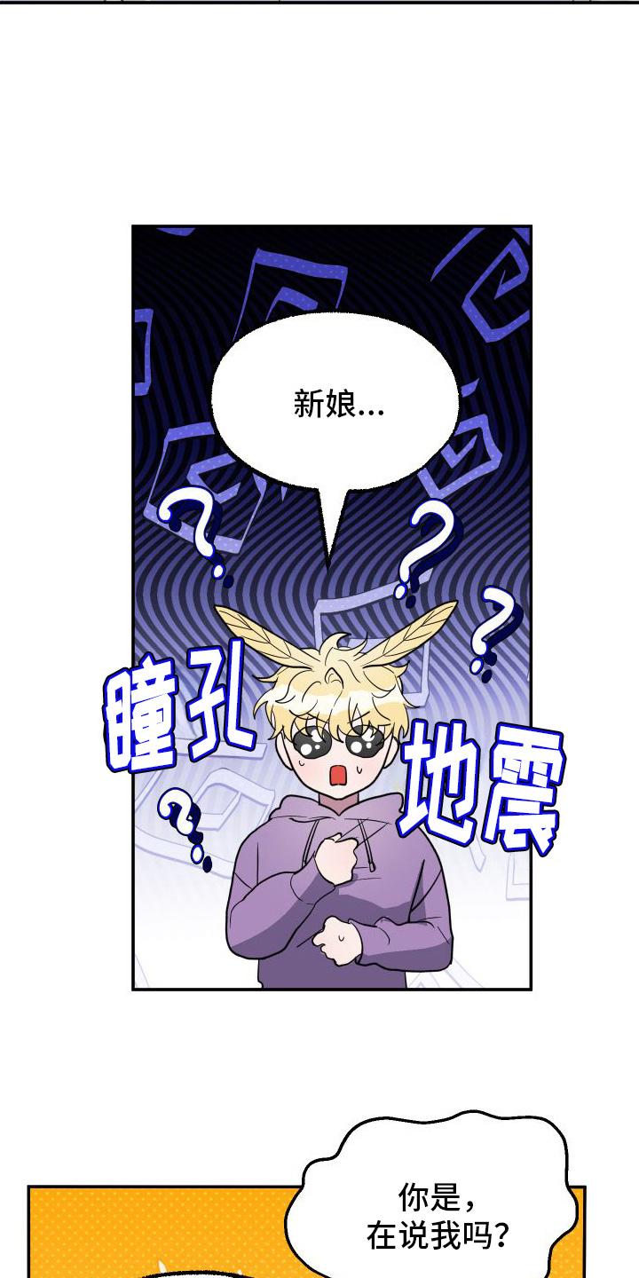 鲨鱼的新娘 - 品种 - 第15页