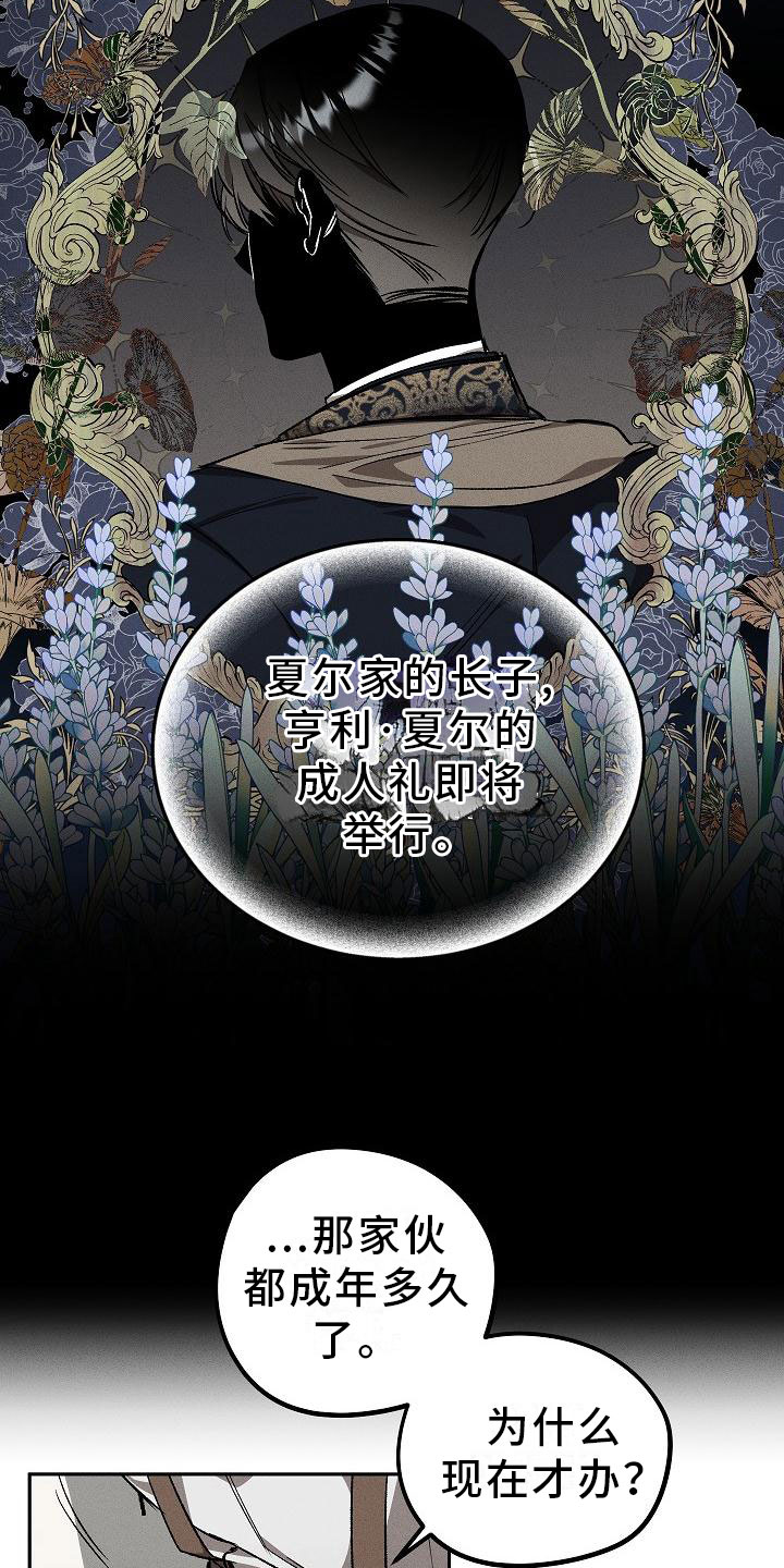 爱的合集 - 薰衣草花园-紫宝石 - 第18页