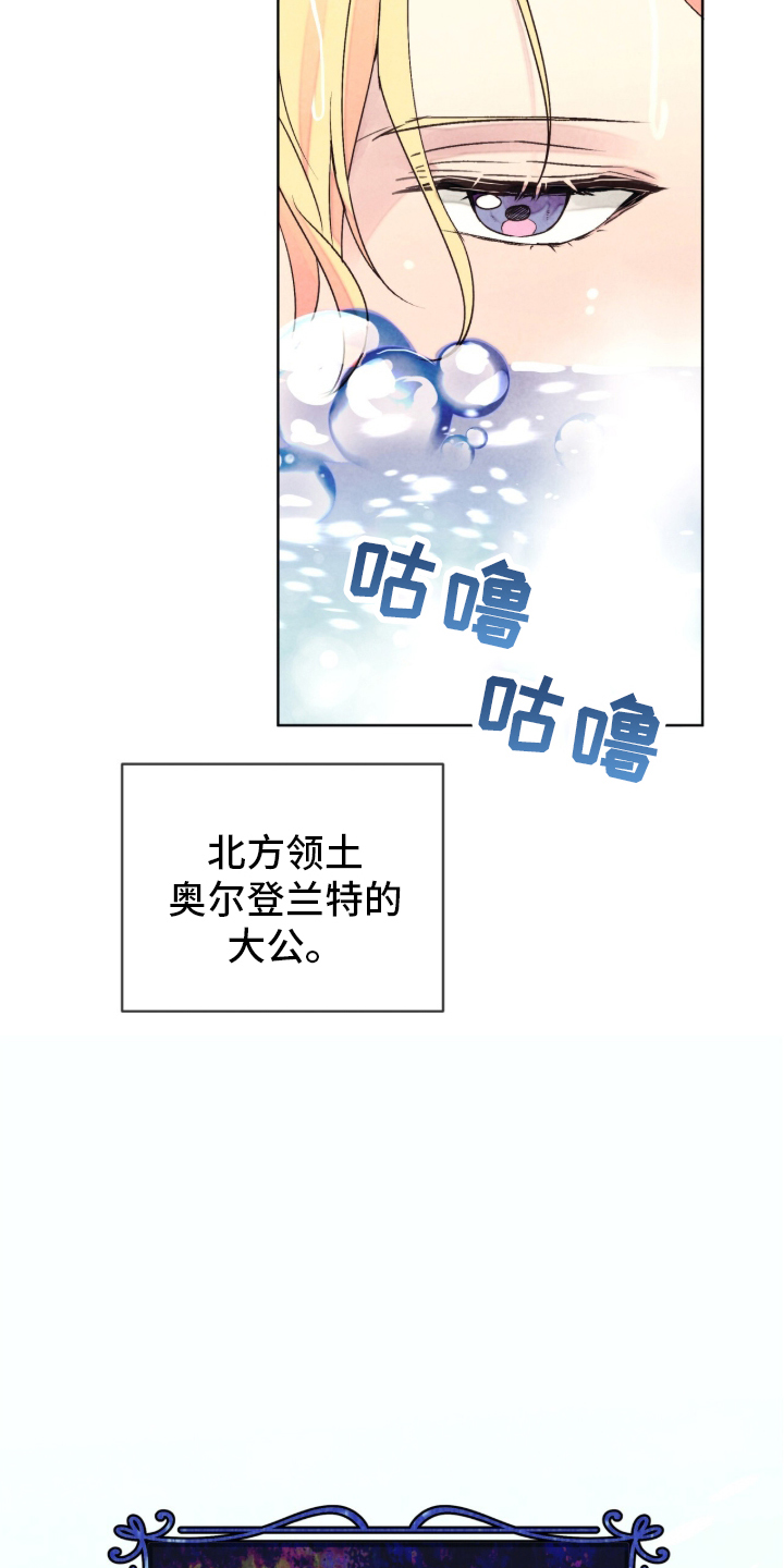 冰封的王嫁 - 无法预料 - 第18页