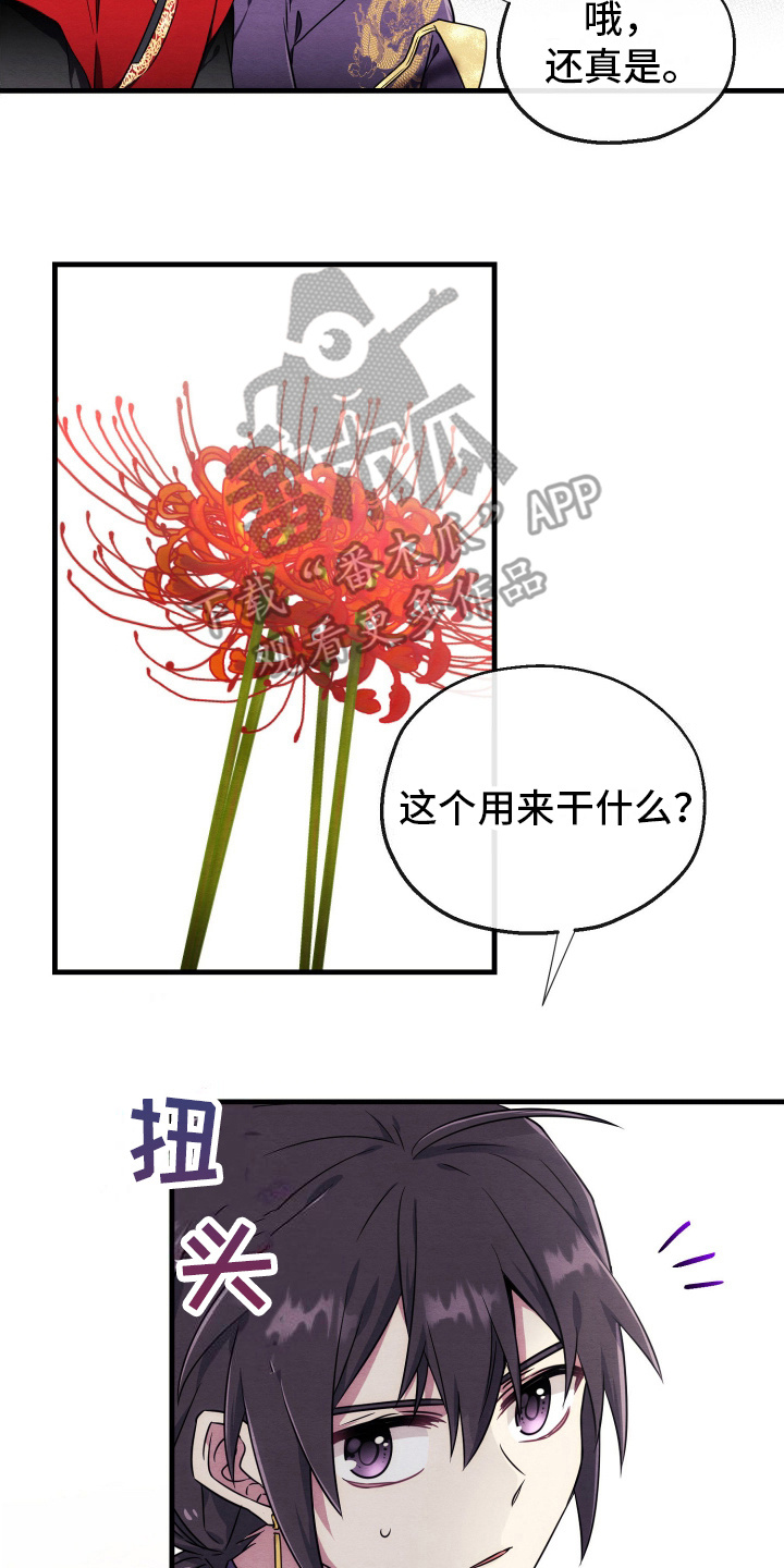 虚拟婚姻 - 采集成功 - 第17页