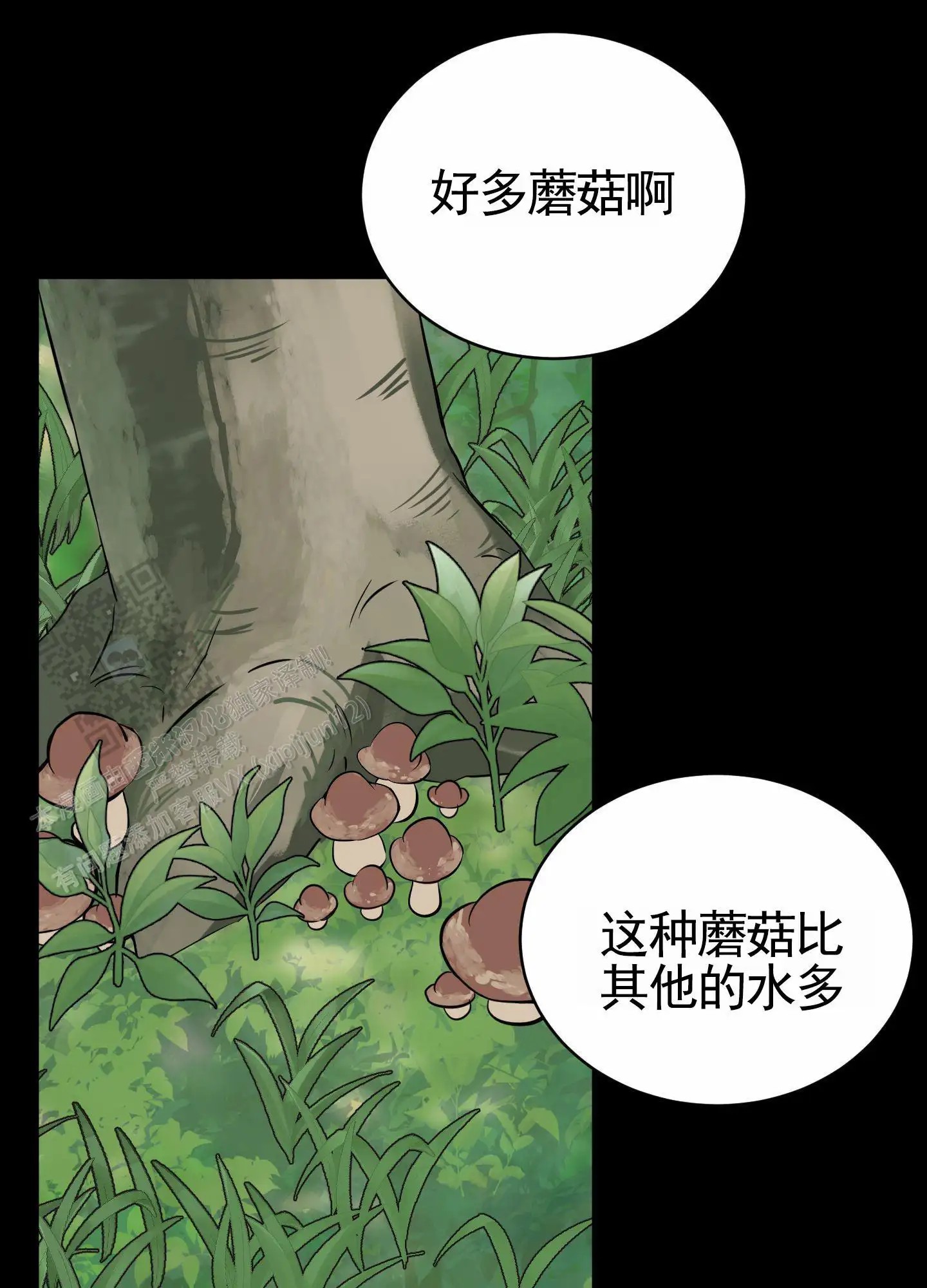 无名之花 - 疯狂逃课 - 第11页