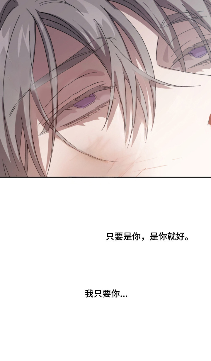 双生悲愿 - 憎恨 - 第31页