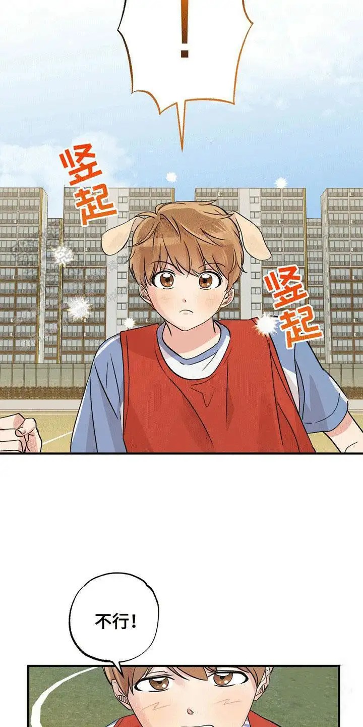 他的专属小狗 - 精神支柱 - 第20页