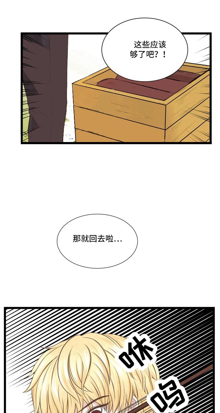 与王子假扮情侣 -   - 第13页